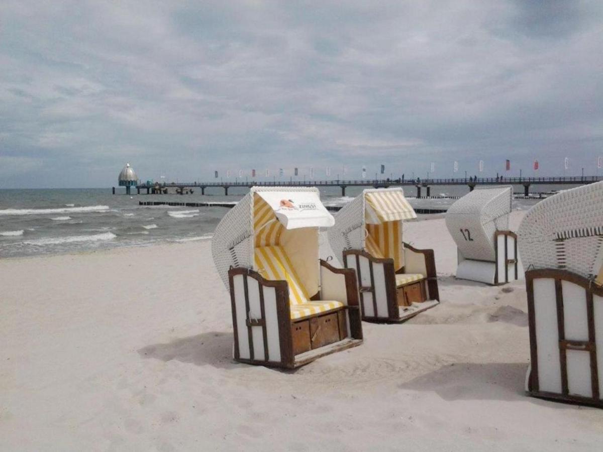 Residenz Am Strand Wohnung 2-43 Zingst Eksteriør bilde